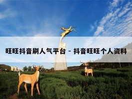 旺旺抖音刷人气平台 - 抖音旺旺个人资料