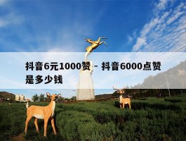 抖音6元1000赞 - 抖音6000点赞是多少钱