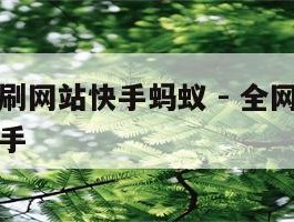 全网最低刷网站快手蚂蚁 - 全网最低刷网站免费快手