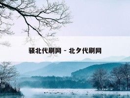 骚北代刷网 - 北夕代刷网