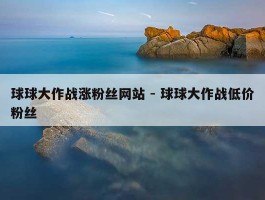 球球大作战涨粉丝网站 - 球球大作战低价粉丝