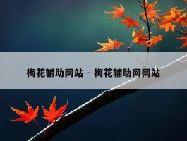 梅花辅助网站 - 梅花辅助网网站