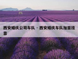 西安婚庆公司车队 - 西安婚庆车队加盟挂靠