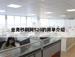 业务秒刷网520的简单介绍