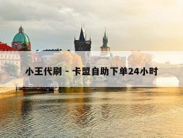 小王代刷 - 卡盟自助下单24小时