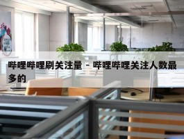 哔哩哔哩刷关注量 - 哔哩哔哩关注人数最多的