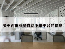 关于西瓜业务自助下单平台的信息