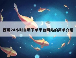 西瓜24小时自助下单平台网站的简单介绍